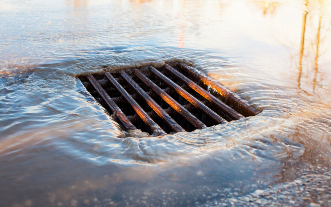 Understanding the Difference Between Sanitary Sewer and Stormwater Systems